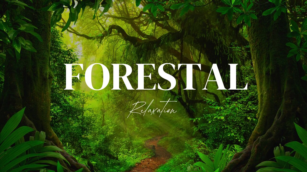 Forestal | Relaxing Forest Music with Nature Sounds for Meditation, Sleep & Peaceful Mind