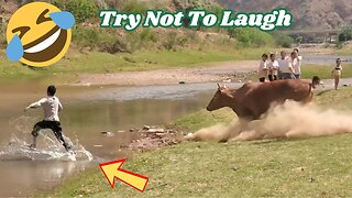 NOT TO LAUGH 🤣🤣 Best Funny Videos compilation - Fails Moments 😂