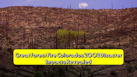 Great Forest Fire: Colorado's 2002 Disaster Impacts Revealed! #ColoradoFires...