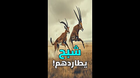 لماذا يركض هذا الظبي من شبح؟