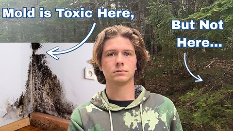 Mold Does NOT Cause Disease