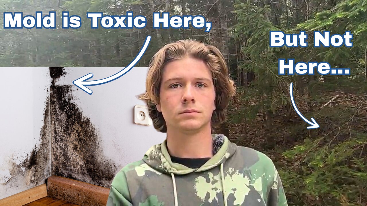 Mold Does NOT Cause Disease