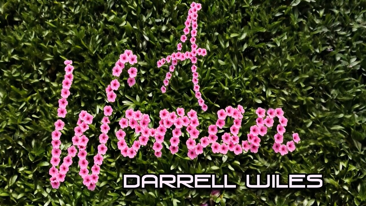 A Woman (Official Music Video) - Darrell Wiles