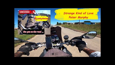 Peter Murphy - Strange Kind Of Love #petermurphy #jontyk9 #bikelife #dogs