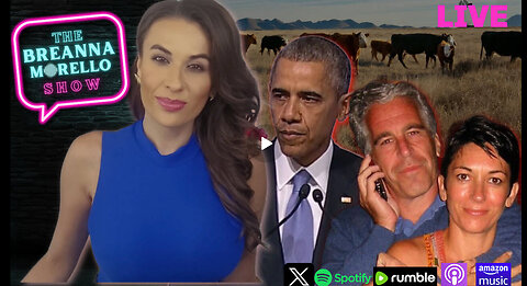 Breanna Morello - Obama is a Criminal, Maxwell Given Limited Immunity, Beef Prices Gone Wild