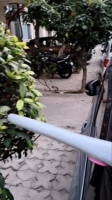 Killing mosquito 🦟 with racket 🤧!! #sports #insight #dailyfeed #explore #fyp