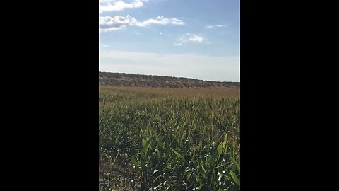Chasing Elk in Idaho