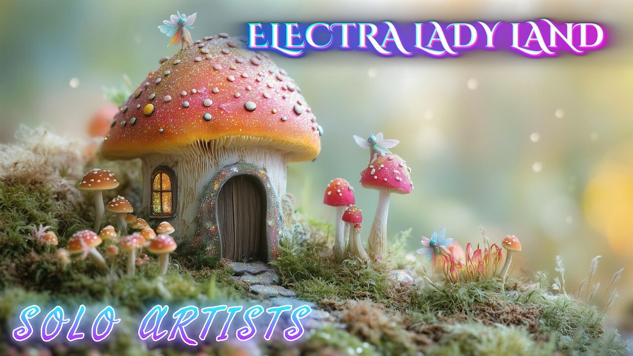 ELECTRA LADY LAND: SOLO ARTISTS