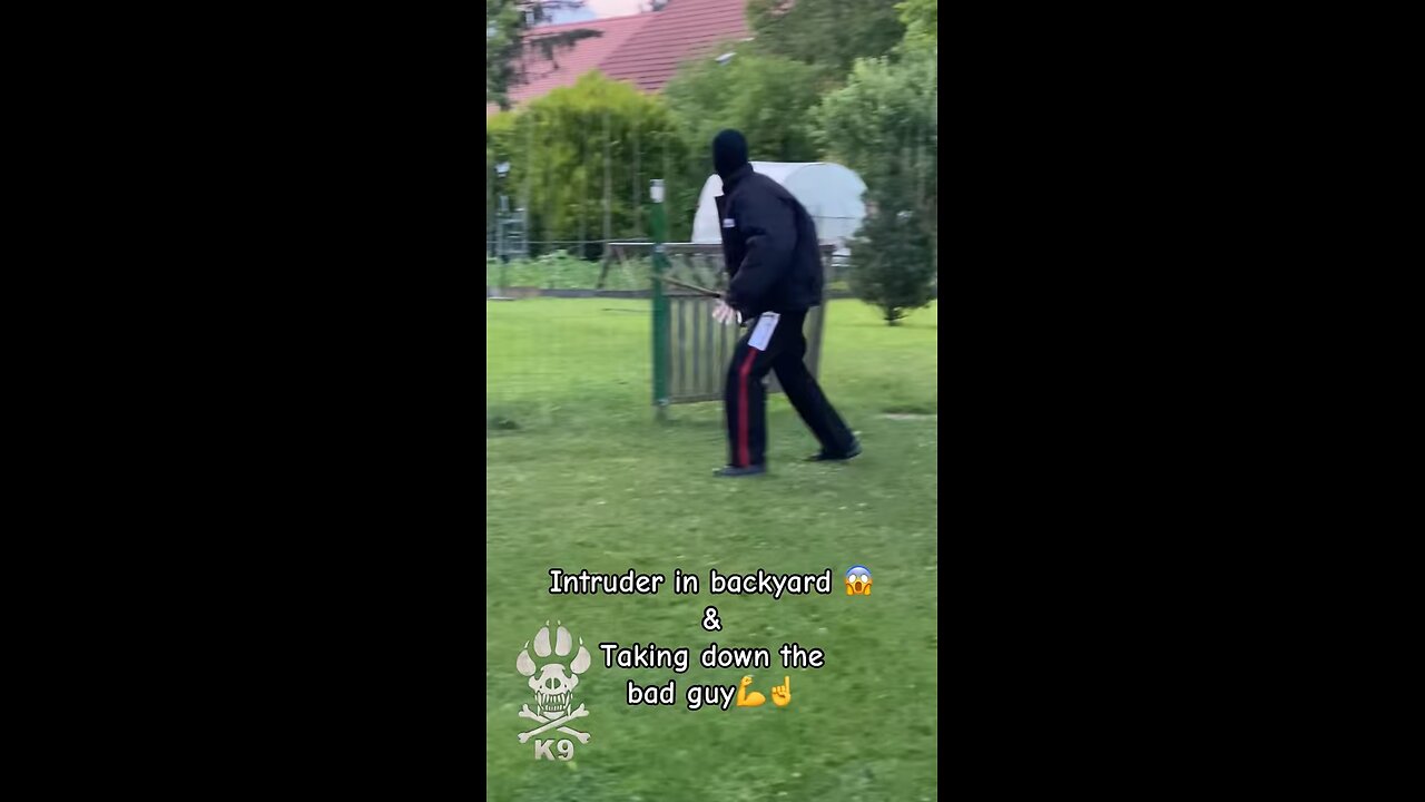 Decoy intruder on backyard