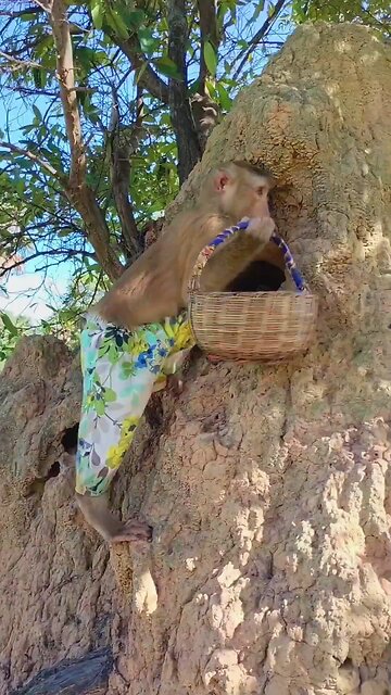 Perfect video SokYaa, OG, Pao & Mom Are Famous Around The World #shorts #anime #trend #edit