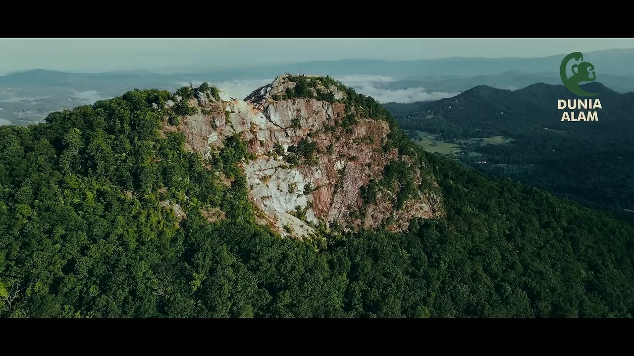 TRIP TO SUMATRA INDONESIA