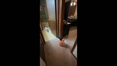 cute baby and dog playing 😍