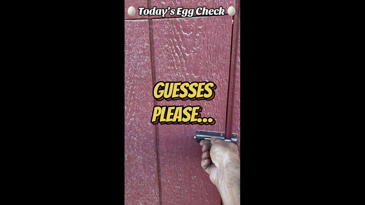 🥚 Today’s Egg Check! 🥚 #shorts