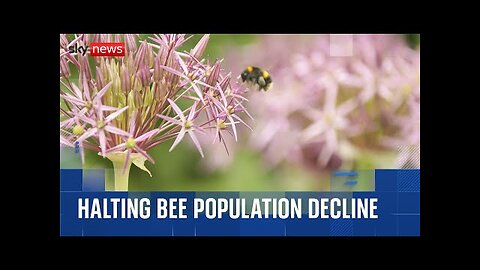 How tagging trees could help scientists stop bee populations declining
