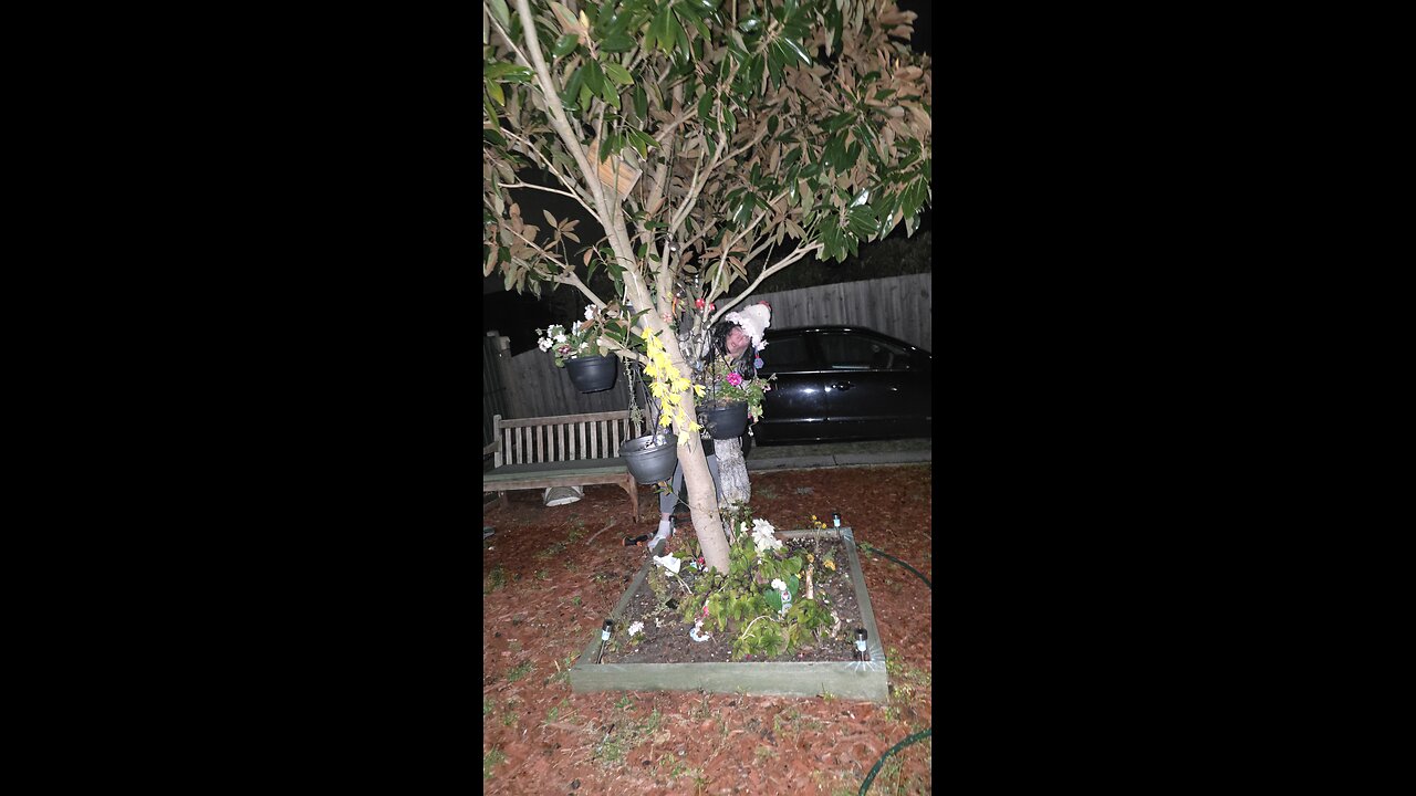 Anna's Halloween Harrowing Dream