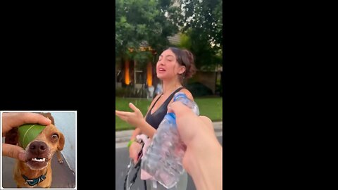 Funny videos compilation 50