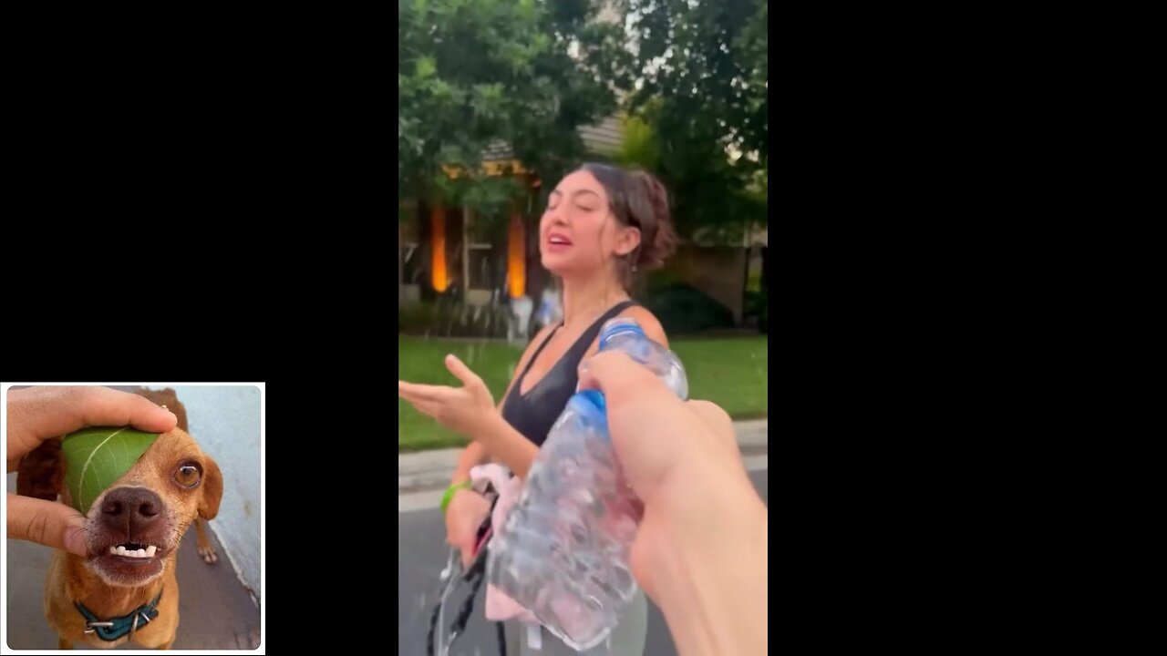 Funny videos compilation 50