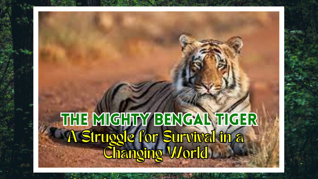 The Mighty Bengal Tiger: A Struggle for Survival in a Changing World