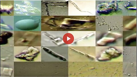 "Pfizer Covid Vaccine Reviewed by La Quinta Columna: Nano-Bio Transhumanist Aspects"