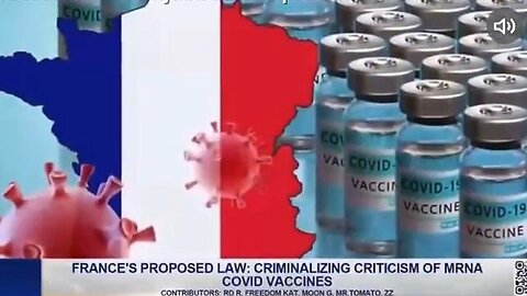 "Understanding France's 2024 Law Against Manipulative and Biased Vaccination Information"