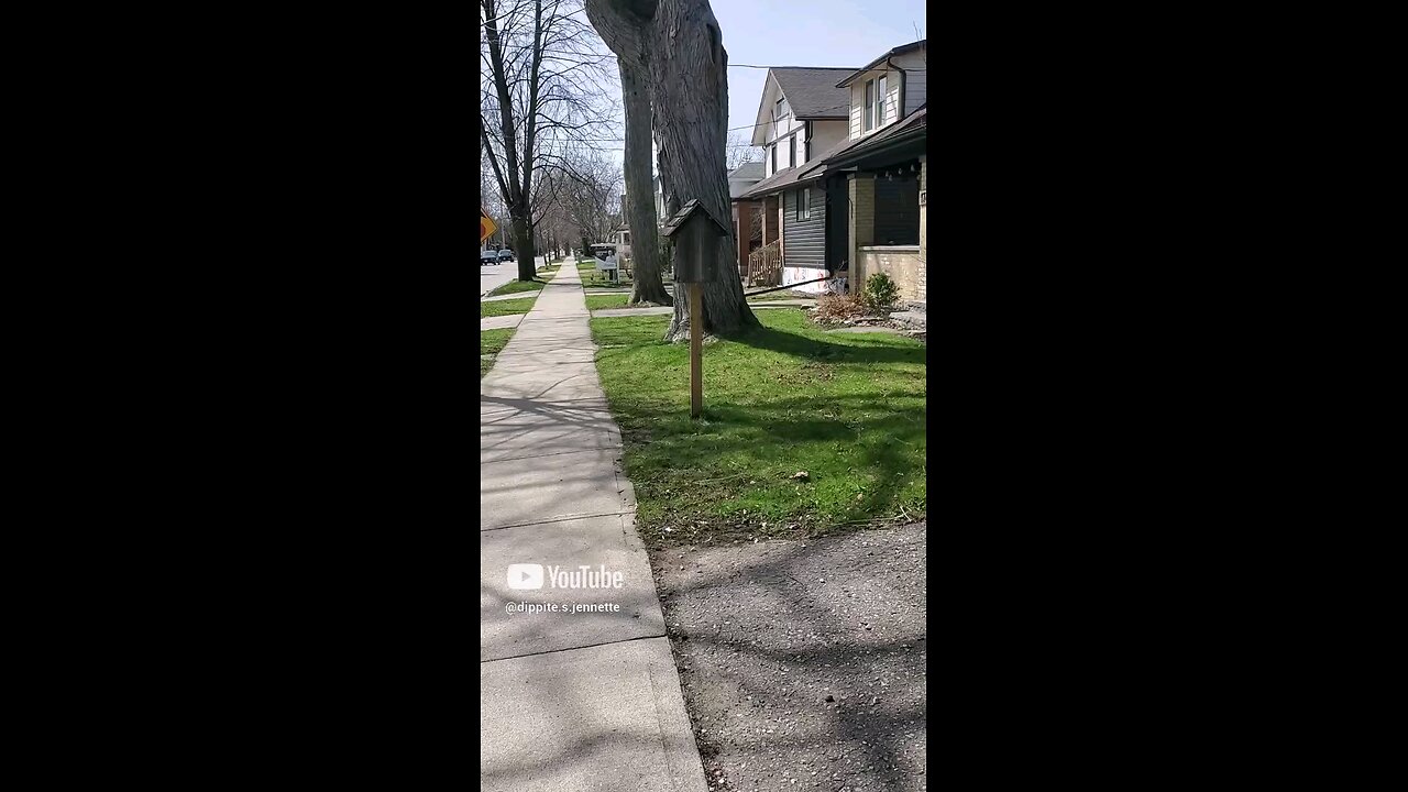 To The Mini Library!