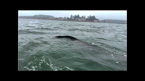 You Should Be Worried About Minnesota.