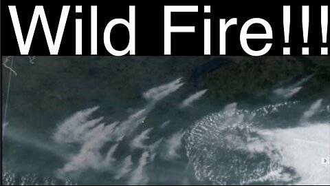 is wildfire necessary for a healthy forest?