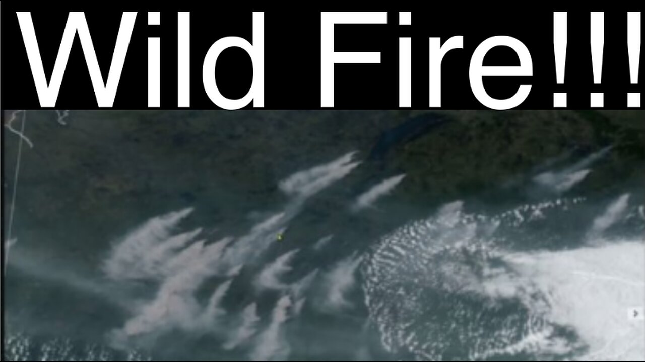 is wildfire necessary for a healthy forest?