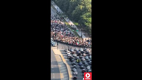 ANTIFA AND ILLEGALS SHUT DOWN MAJOR CHICAGO TRAFFIC.