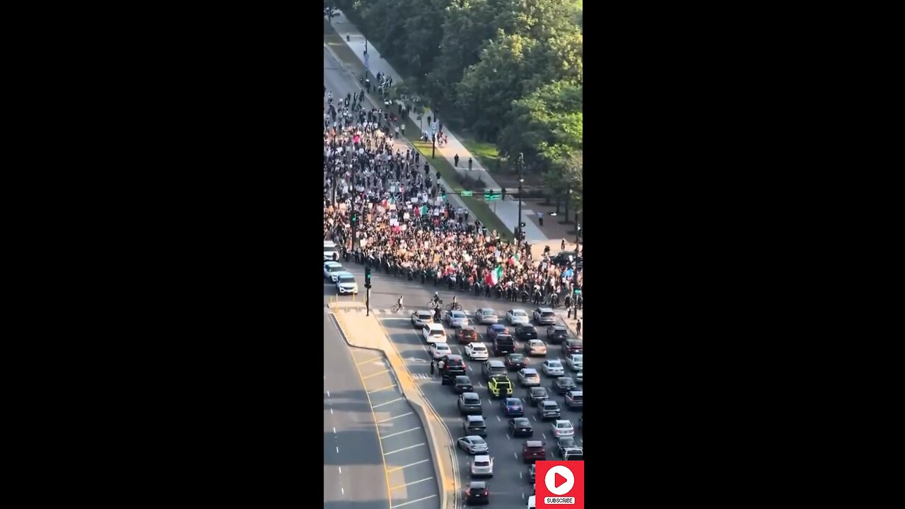 ANTIFA AND ILLEGALS SHUT DOWN MAJOR CHICAGO TRAFFIC.