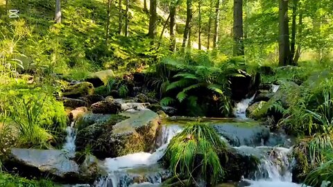Relaxing music and Spa