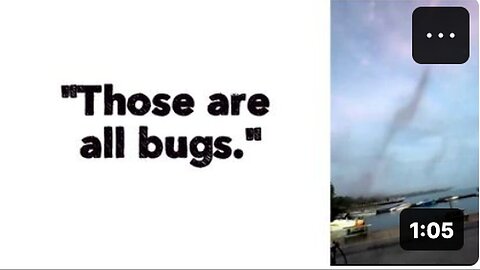 "Entire Collection Comprises Only of Bugs"