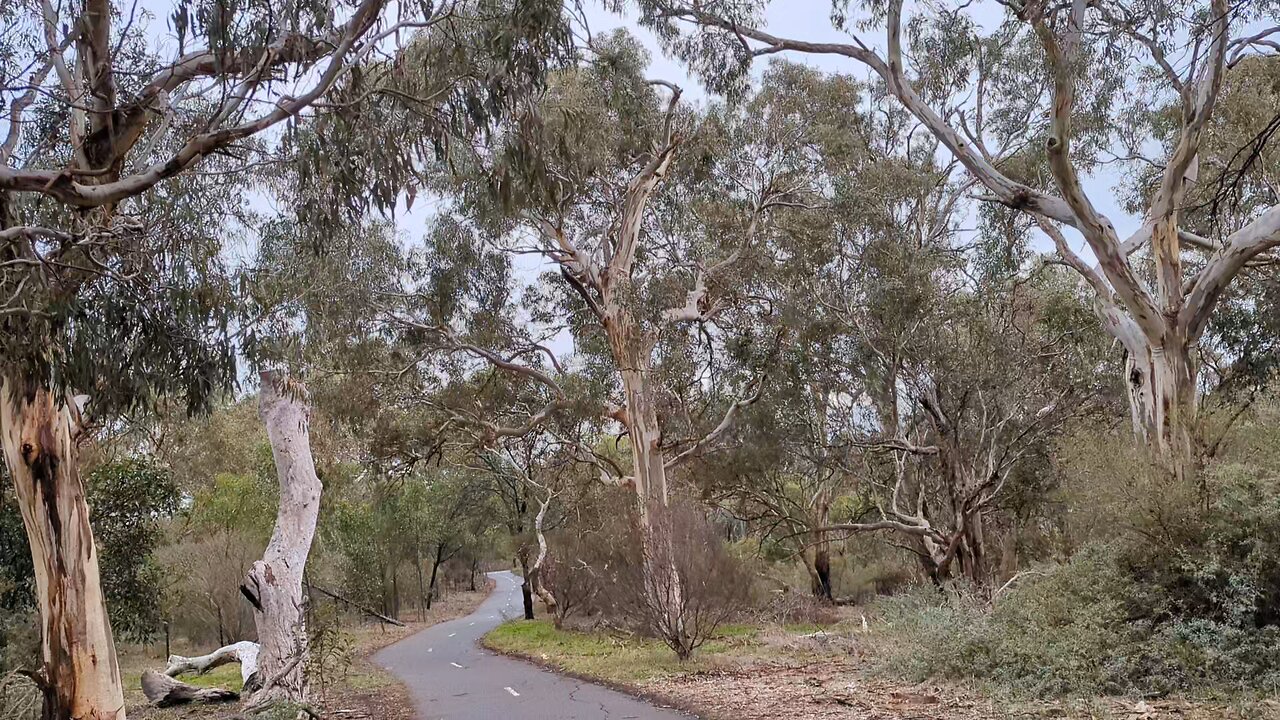 Pipe bridge over yarra part 2