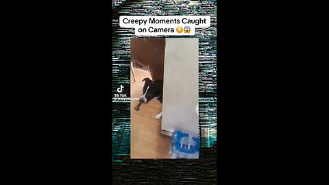 #creepyclips,