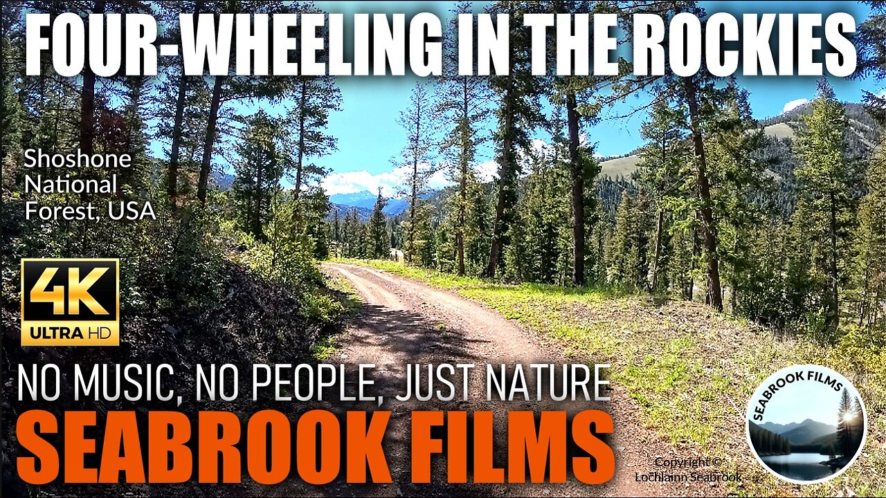 Four-Wheeling in the Rockies: Shoshone National Forest, USA