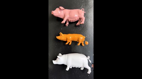 pig #animals