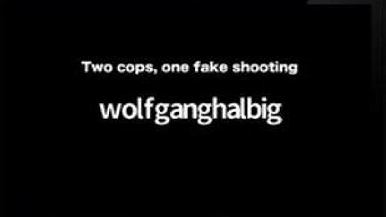 [Feb 13, 2020] TWO COPS, ONE FAKE SHOOTING. WOLFGANG HALBIG [williamgenske]