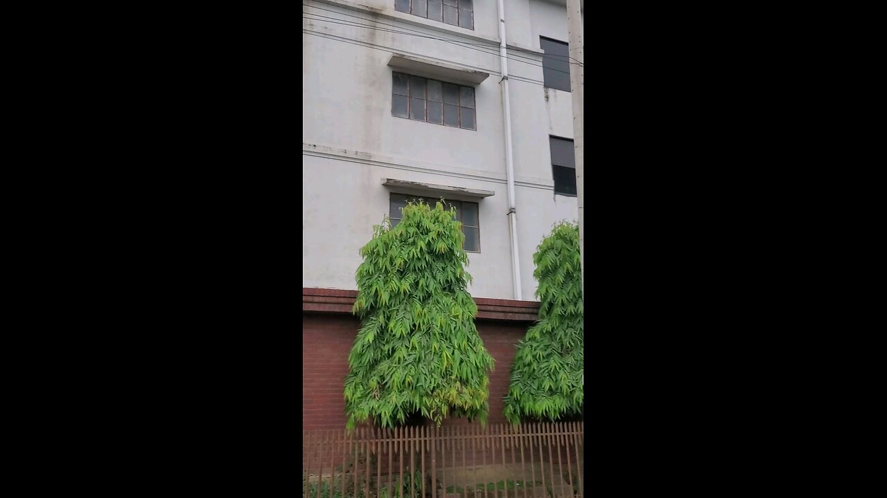 টাইলস ফ্যাক্টরির গোডাউনের এক ঝলক | Tiles Factory Store Front View | Alkamals Vlog
