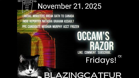 Blazing Cat Fur Fridays - November 21, 2025