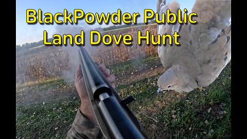 Blackpowder Public Land Dove Hunt