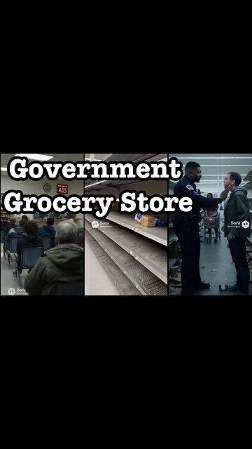 Government Grocery Stores