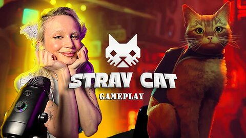Gaming as a Cat in Stray