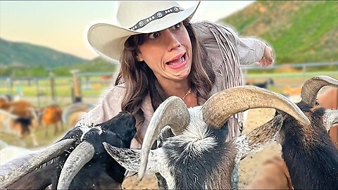 My 6 Year Old Caught a RattleSnake & Goats Eat My Clothes!