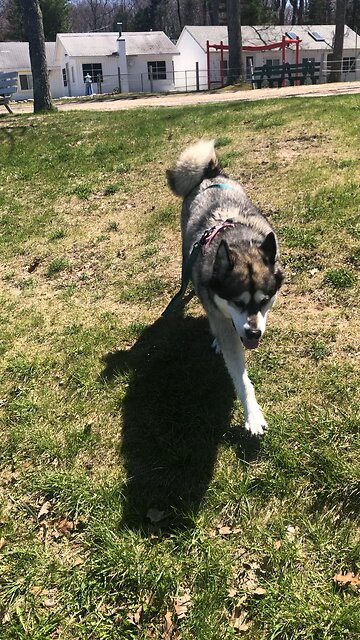 Thursday May 8, Lord my heart is not proud.