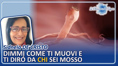 Dimmi come ti muovi e ti dirò da chi sei mosso - Sidneia De Cristo