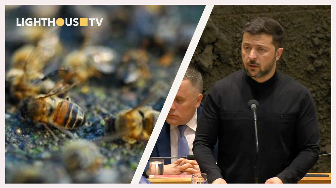 LightHouseTV #24: Bijensterfte door 5G? | Zelensky en de EU vs Rusland | Analyse NAVO-top