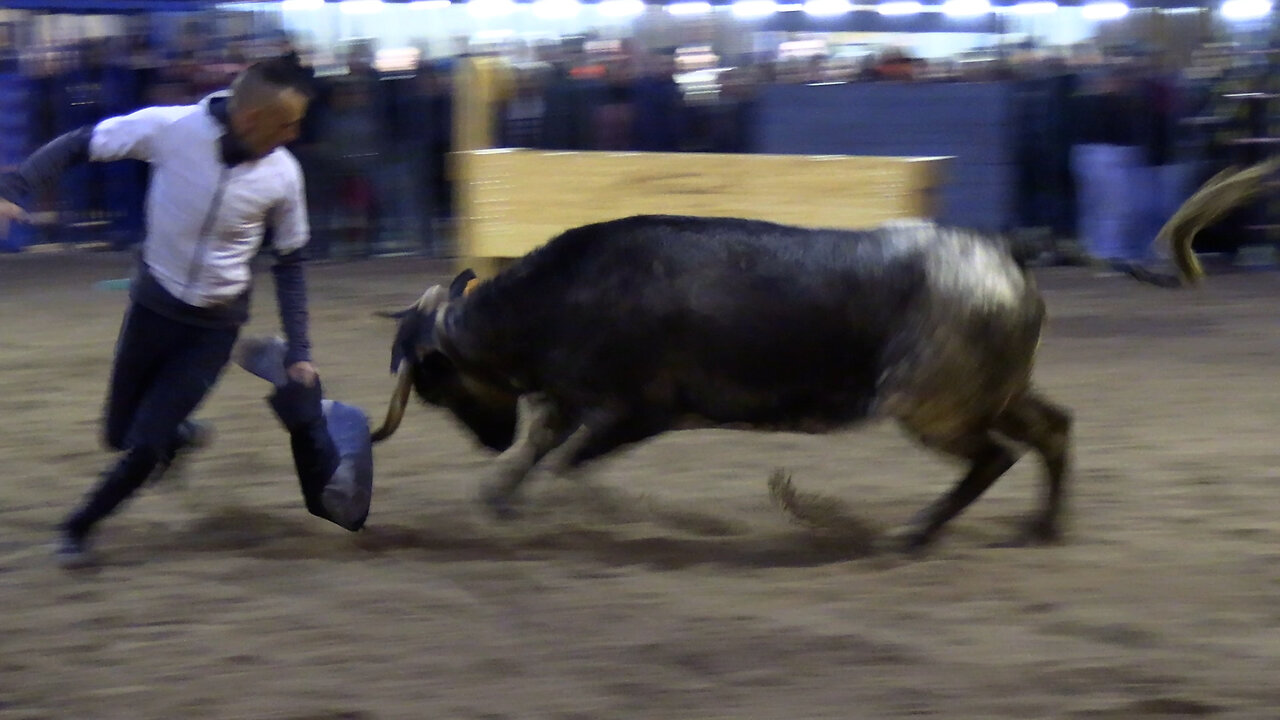 2025 02 07 LA SALSADELLA HNOS. CALI