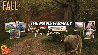 🍂 Holler Radio: IRL Life on the Farm | November Edition | Music + Alan Watts 📻