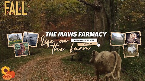 🍂 Holler Radio: IRL Life on the Farm | November Edition | Music + Alan Watts 📻