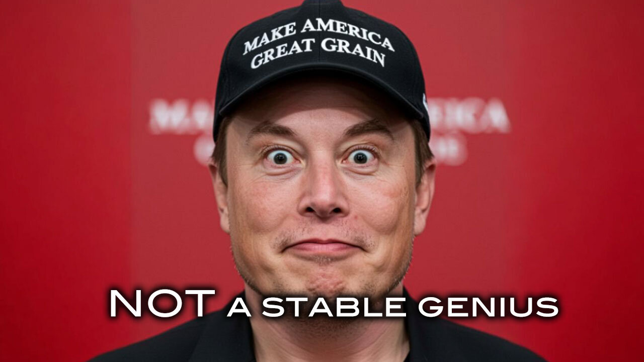 Elon Musk - NOT A Stable Genius